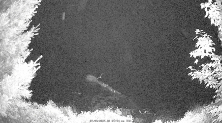 Image from 2025-07-03