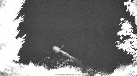 Image from 2025-07-03