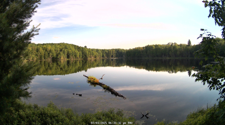 Image from 2025-07-03