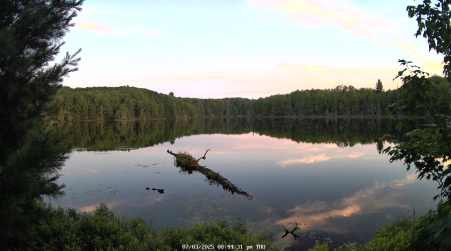 Image from 2025-07-03