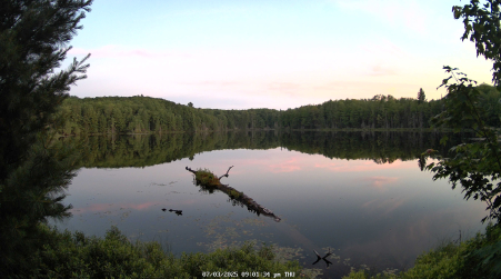 Image from 2025-07-03