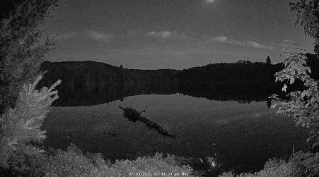 Image from 2025-07-03