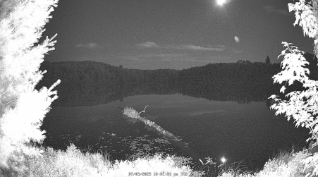 Image from 2025-07-03