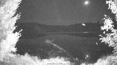 Image from 2025-07-03