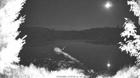 Image from 2025-07-03