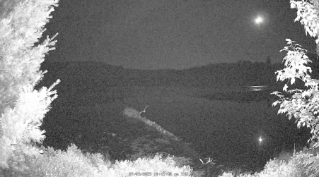 Image from 2025-07-03
