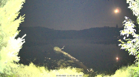 Image from 2025-07-03