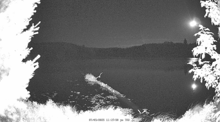 Image from 2025-07-03