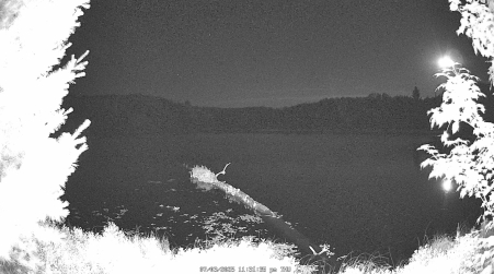 Image from 2025-07-03