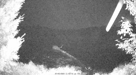 Image from 2025-07-03