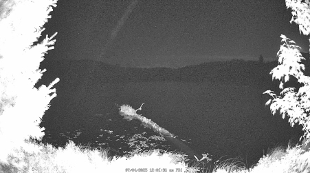 Image from 2025-07-04