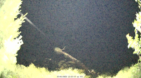 Image from 2025-07-04