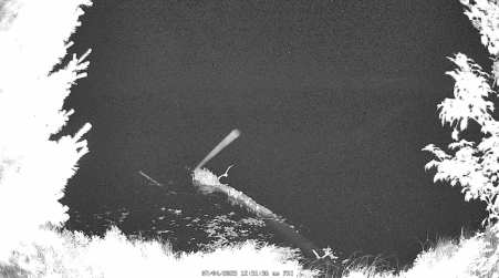 Image from 2025-07-04