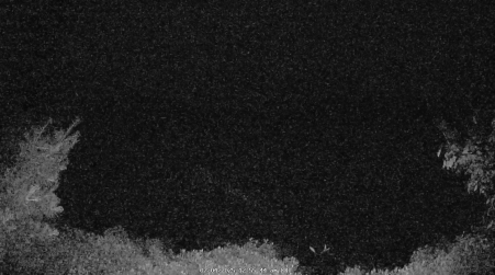 Image from 2025-07-04