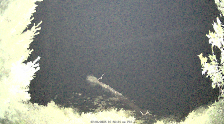 Image from 2025-07-04