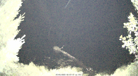 Image from 2025-07-04
