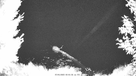 Image from 2025-07-04