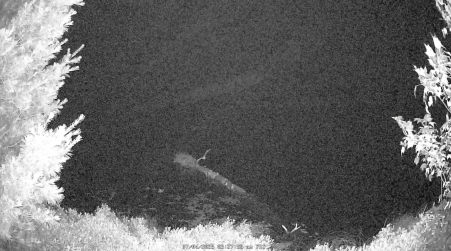 Image from 2025-07-04