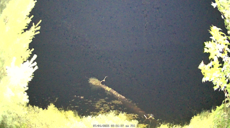 Image from 2025-07-04