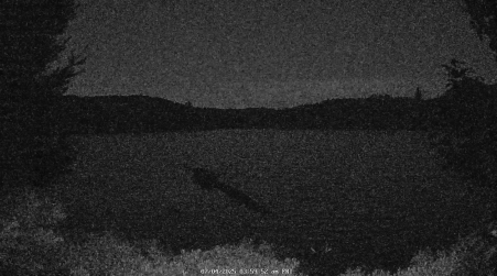 Image from 2025-07-04