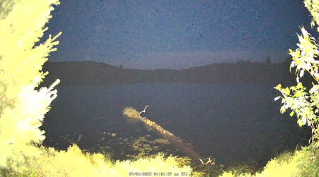 Image from 2025-07-04