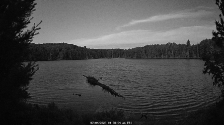 Image from 2025-07-04