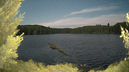 Image from 2025-07-04