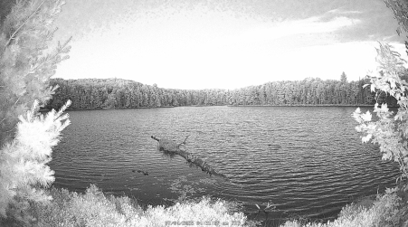 Image from 2025-07-04