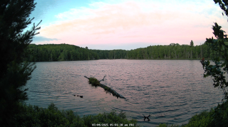 Image from 2025-07-04