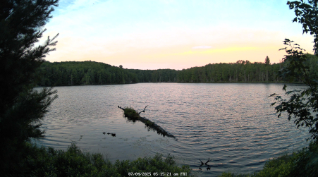 Image from 2025-07-04