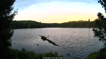 Image from 2025-07-04