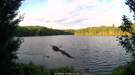 Image from 2025-07-04