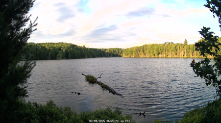 Image from 2025-07-04