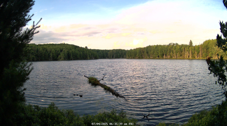 Image from 2025-07-04