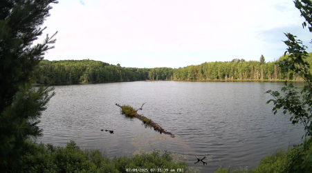 Image from 2025-07-04