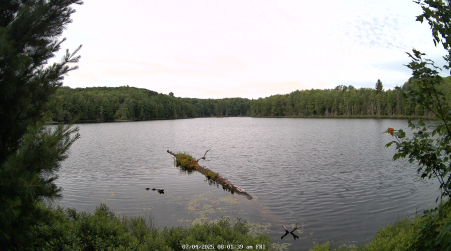 Image from 2025-07-04