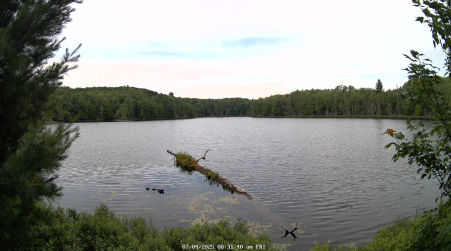 Image from 2025-07-04