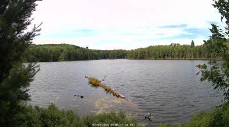 Image from 2025-07-04