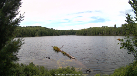 Image from 2025-07-04