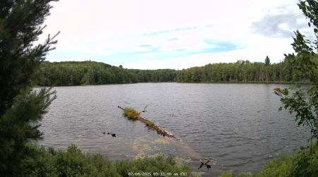 Image from 2025-07-04