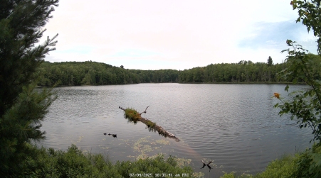 Image from 2025-07-04