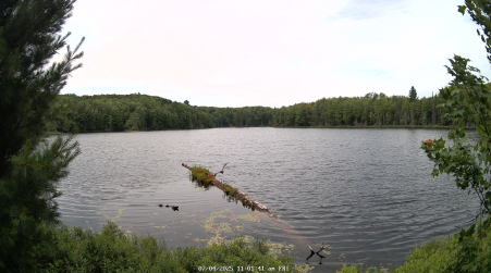 Image from 2025-07-04
