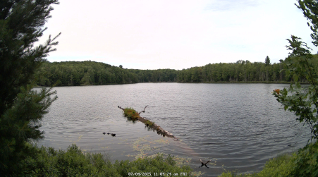 Image from 2025-07-04