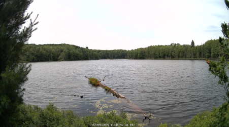 Image from 2025-07-04