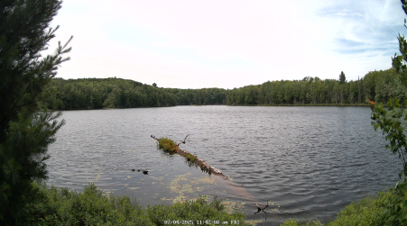 Image from 2025-07-04