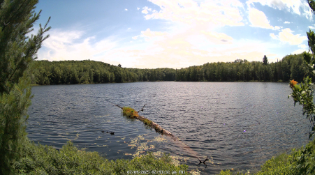 Image from 2025-07-04