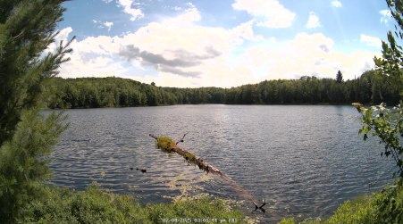 Image from 2025-07-04