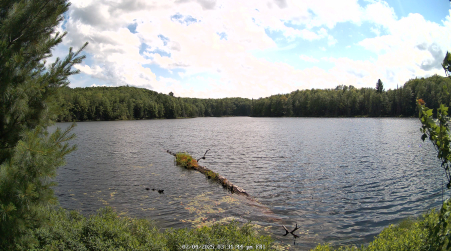 Image from 2025-07-04