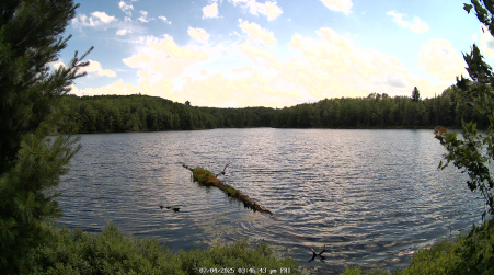 Image from 2025-07-04