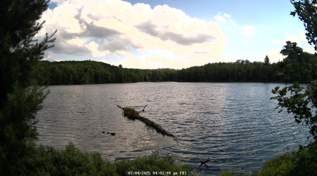 Image from 2025-07-04